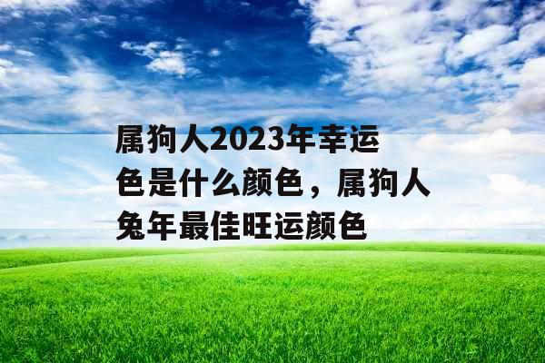 属狗人2023年幸运色是什么颜色，属狗人兔年最佳旺运颜色