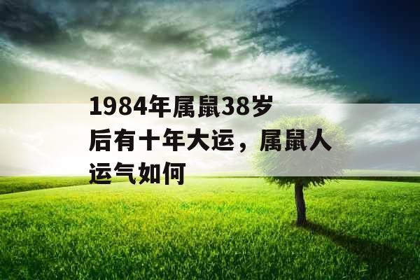 1984年属鼠38岁后有十年大运,属鼠人运气如何 1984年属鼠38岁后有十年大运,属鼠人运气如何