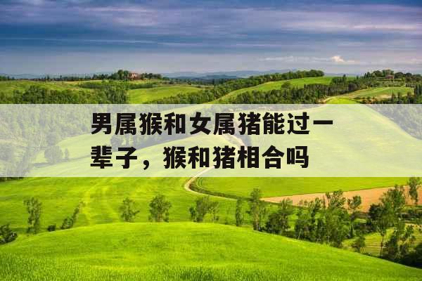 男属猴和女属猪能过一辈子，猴和猪相合吗