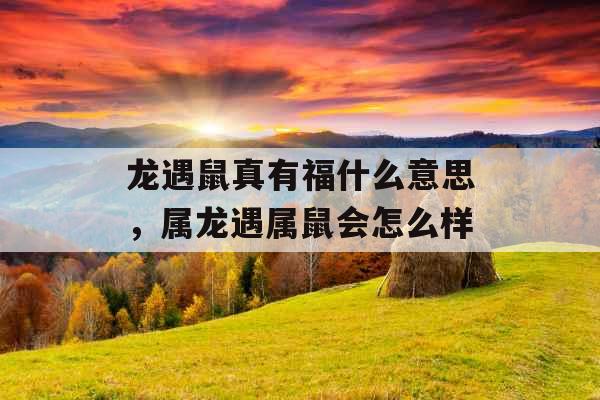 龙遇鼠真有福什么意思,属龙遇属鼠会怎么样 龙遇鼠真有福什么意思,属龙遇属鼠会怎么样