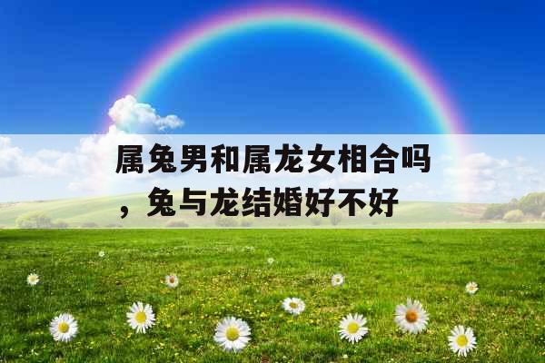 属兔男和属龙女相合吗,兔与龙结婚好不好 属兔男和属龙女相合吗,兔与龙结婚好不好