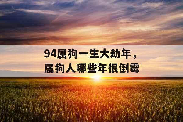 94属狗一生大劫年,属狗人哪些年很倒霉 94属狗一生大劫年,属狗人哪些年很倒霉