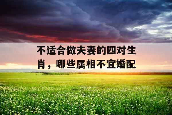 不适合做夫妻的四对生肖,哪些属相不宜婚配 不适合做夫妻的四对生肖,哪些属相不宜婚配