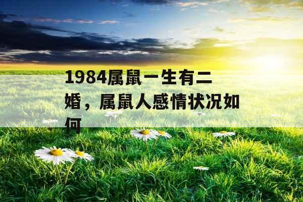 1984属鼠一生有二婚,属鼠人感情状况如何 1984属鼠一生有二婚,属鼠人感情状况如何