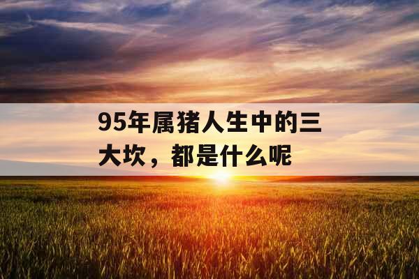 95年属猪人生中的三大坎，都是什么呢