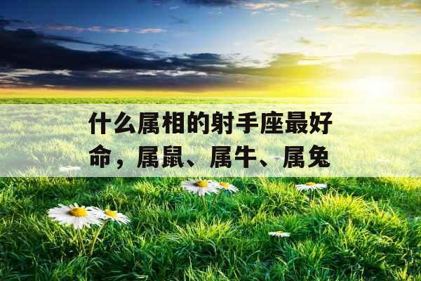 什么属相的射手座最好命,属鼠、属牛、属兔 什么属相的射手座最好命,属鼠、属牛、属兔