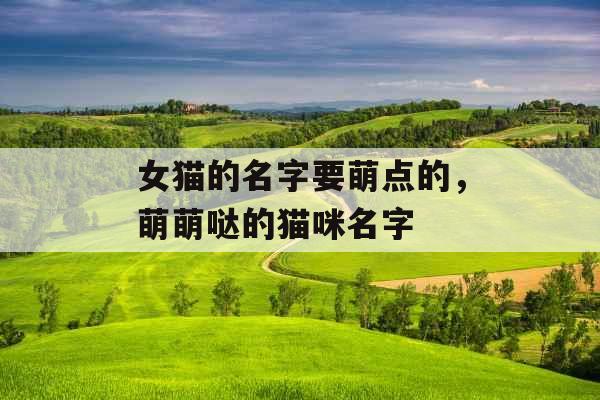 女猫的名字要萌点的,萌萌哒的猫咪名字 女猫的名字要萌点的,萌萌哒的猫咪名字