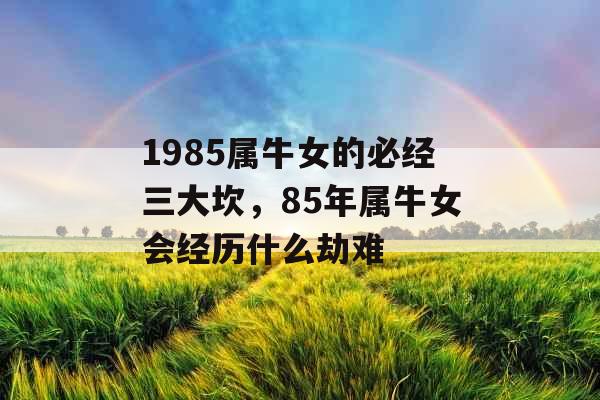 1985属牛女的必经三大坎，85年属牛女会经历什么劫难