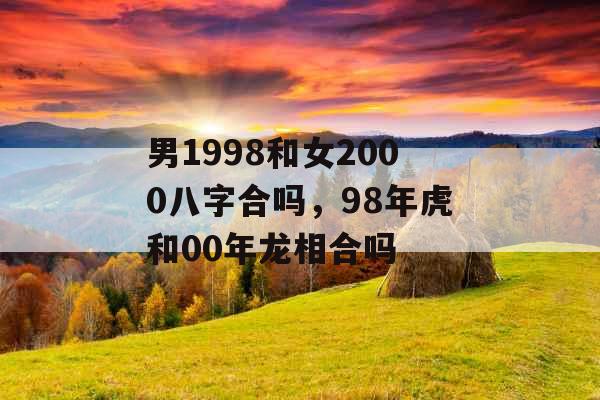 男1998和女2000八字合吗，98年虎和00年龙相合吗