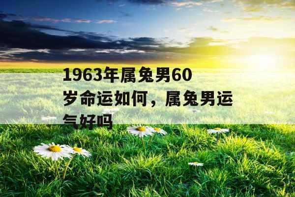 1963年属兔男60岁命运如何，属兔男运气好吗