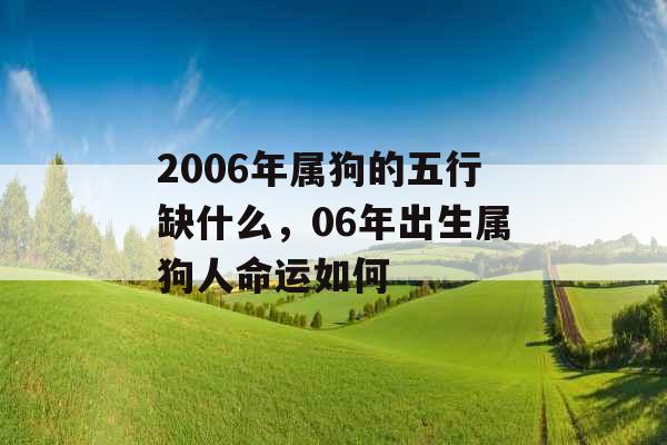 2006年属狗的五行缺什么，06年出生属狗人命运如何