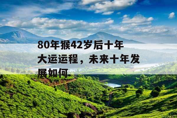 80年猴42岁后十年大运运程，未来十年发展如何
