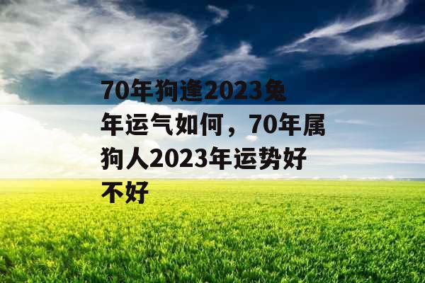 70年狗逢2023兔年运气如何，70年属狗人2023年运势好不好