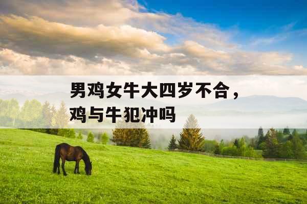 男鸡女牛大四岁不合，鸡与牛犯冲吗