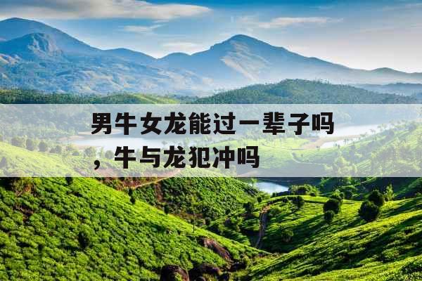 男牛女龙能过一辈子吗，牛与龙犯冲吗