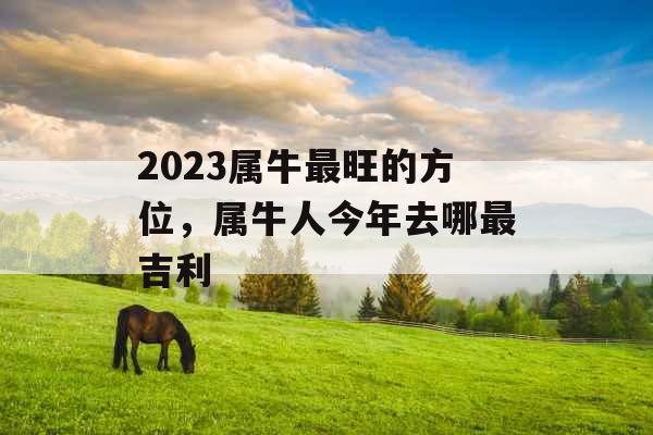 2023属牛最旺的方位，属牛人今年去哪最吉利