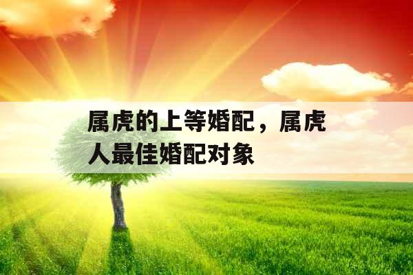 属虎的上等婚配，属虎人最佳婚配对象