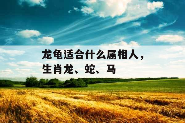 龙龟适合什么属相人，生肖龙、蛇、马