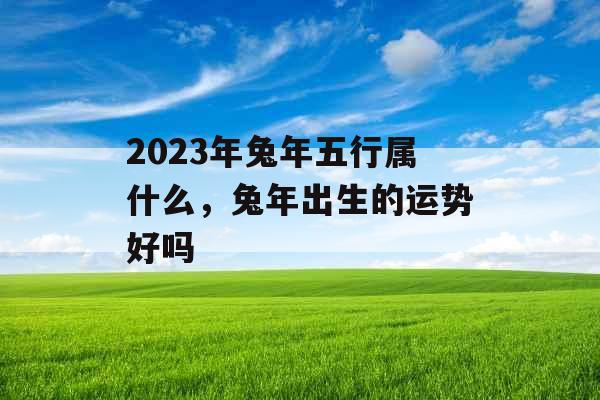 2023年兔年五行属什么，兔年出生的运势好吗