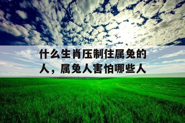 什么生肖压制住属兔的人，属兔人害怕哪些人