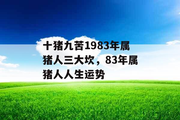 十猪九苦1983年属猪人三大坎，83年属猪人人生运势