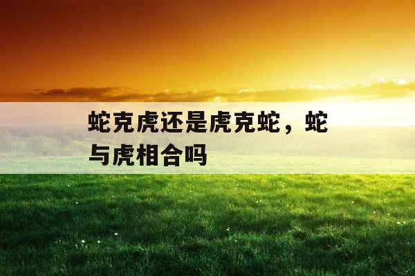 蛇克虎还是虎克蛇，蛇与虎相合吗