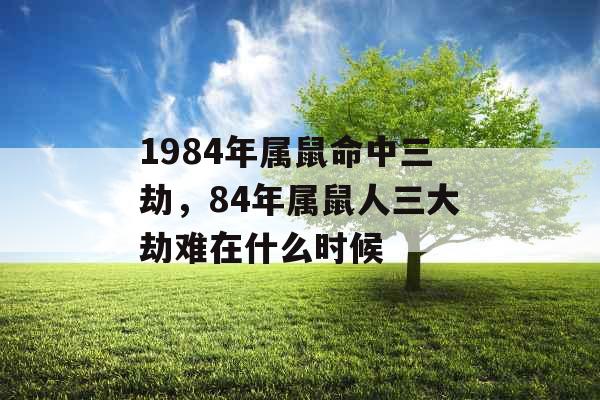 1984年属鼠命中三劫,84年属鼠人三大劫难在什么时候 1984年属鼠命中三劫,84年属鼠人三大劫难在什么时候