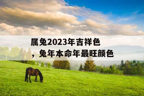 属兔2023年吉祥色，兔年本命年最旺颜色