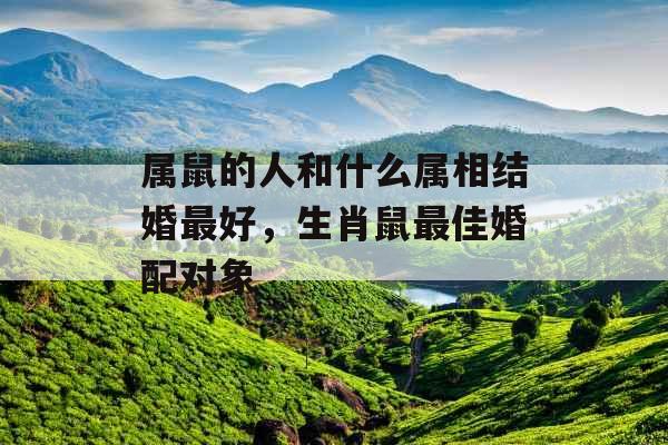 属鼠的人和什么属相结婚最好，生肖鼠最佳婚配对象