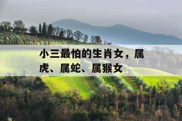 小三最怕的生肖女，属虎、属蛇、属猴女