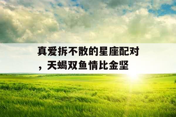 真爱拆不散的星座配对,天蝎双鱼情比金坚 真爱拆不散的星座配对,天蝎双鱼情比金坚