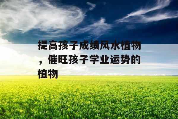 提高孩子成绩风水植物，催旺孩子学业运势的植物