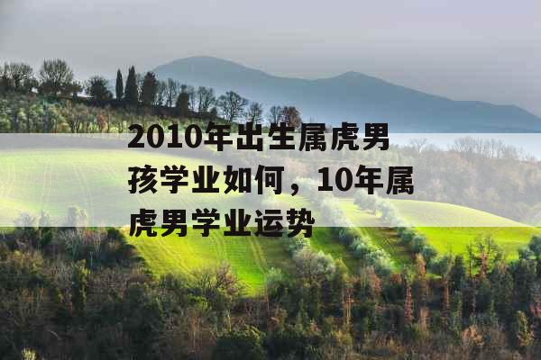 2010年出生属虎男孩学业如何，10年属虎男学业运势