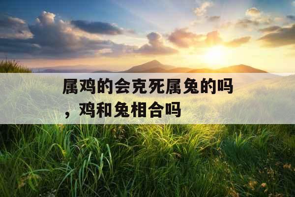 属鸡的会克死属兔的吗,鸡和兔相合吗 属鸡的会克死属兔的吗,鸡和兔相合吗