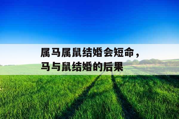 属马属鼠结婚会短命，马与鼠结婚的后果