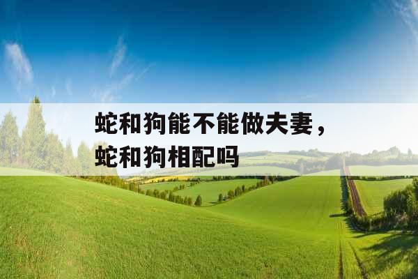 蛇和狗能不能做夫妻,蛇和狗相配吗 蛇和狗能不能做夫妻,蛇和狗相配吗