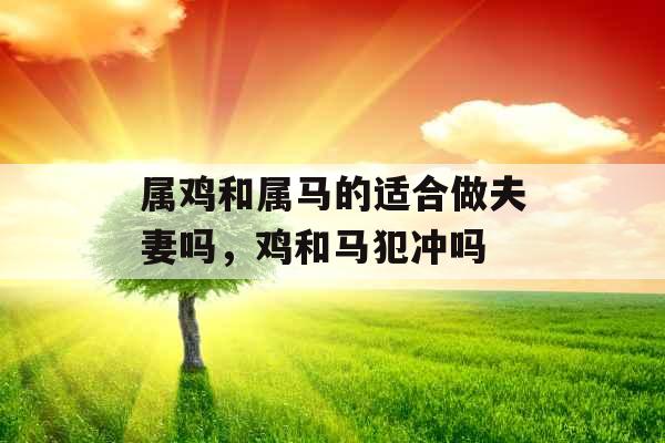 属鸡和属马的适合做夫妻吗,鸡和马犯冲吗 属鸡和属马的适合做夫妻吗,鸡和马犯冲吗