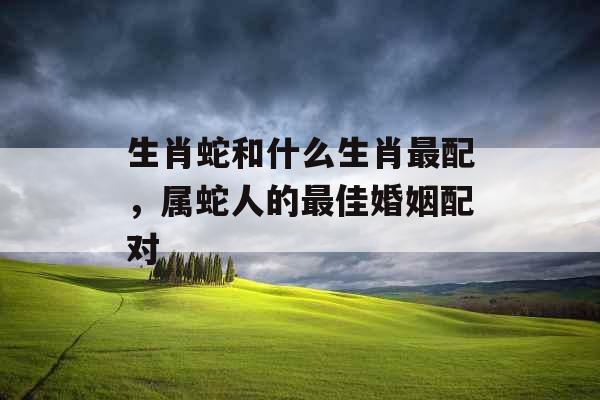 生肖蛇和什么生肖最配,属蛇人的最佳婚姻配对 生肖蛇和什么生肖最配,属蛇人的最佳婚姻配对