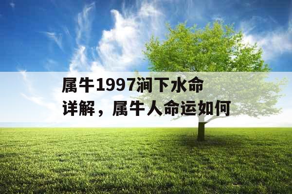 属牛1997涧下水命详解,属牛人命运如何 属牛1997涧下水命详解,属牛人命运如何