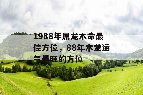 1988年属龙木命最佳方位，88年木龙运气最旺的方位