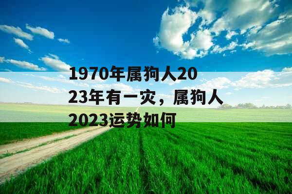 1970年属狗人2023年有一灾,属狗人2023运势如何 1970年属狗人2023年有一灾,属狗人2023运势如何