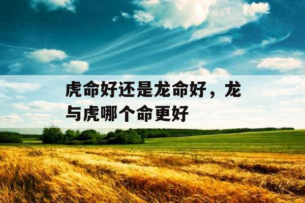 虎命好还是龙命好，龙与虎哪个命更好