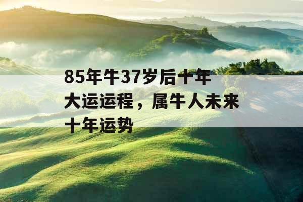 85年牛37岁后十年大运运程,属牛人未来十年运势 85年牛37岁后十年大运运程,属牛人未来十年运势