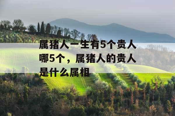 属猪人一生有5个贵人哪5个,属猪人的贵人是什么属相 属猪人一生有5个贵人哪5个,属猪人的贵人是什么属相