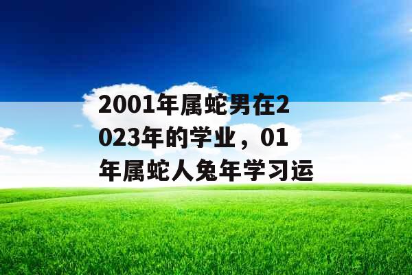 2001年属蛇男在2023年的学业,01年属蛇人兔年学习运 2001年属蛇男在2023年的学业,01年属蛇人兔年学习运