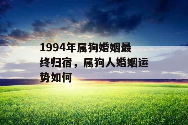 1994年属狗婚姻最终归宿,属狗人婚姻运势如何 1994年属狗婚姻最终归宿,属狗人婚姻运势如何