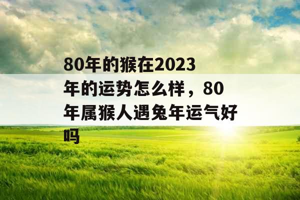 80年的猴在2023年的运势怎么样，80年属猴人遇兔年运气好吗