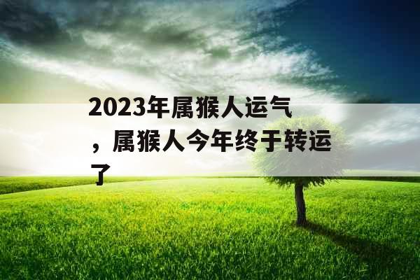 2023年属猴人运气,属猴人今年终于转运了 2023年属猴人运气,属猴人今年终于转运了