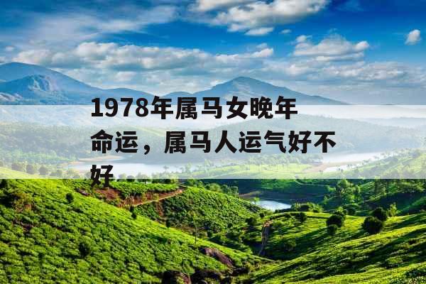 1978年属马女晚年命运，属马人运气好不好