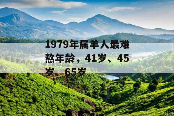 1979年属羊人最难熬年龄，41岁、45岁、65岁